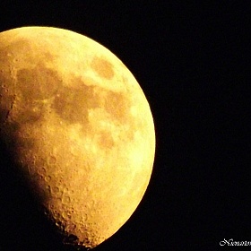 фотограф Марк Ненартович. Фотография "Ночная луна"