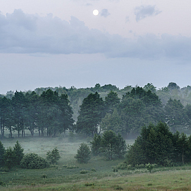 фотограф Александр Заруба. Фотография "Утро на Чудесных холмах."