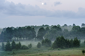 Утро на Чудесных холмах. | Фотограф Александр Заруба | foto.by фото.бай