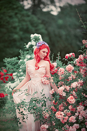 Розы | Фотограф Виктория Давидович | foto.by фото.бай