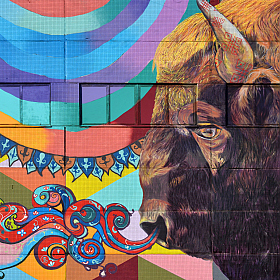 Зубр | Фотограф Александр Кузнецов | foto.by фото.бай