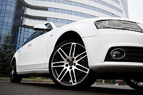 Работа фотографа Александр Тагаев