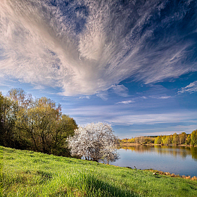 Весна на берегу реки | Фотограф Сергей Шабуневич | foto.by фото.бай