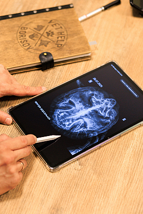 Работа фотографа Михаил и Елизавета Лукашевич