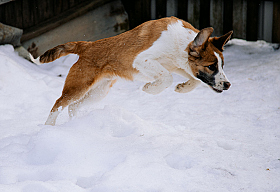 Работа фотографа Дмитрий Гусалов
