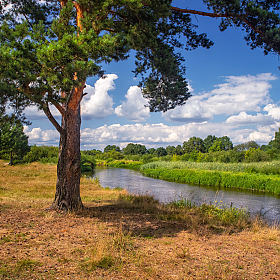 Летний день на Немане | Фотограф Сергей Шабуневич | foto.by фото.бай