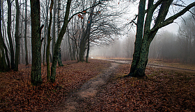 Осенний январь | Фотограф Сергей Шабуневич | foto.by фото.бай