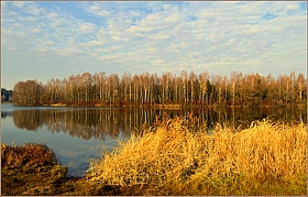 яркая осень | Фотограф Игорь Сафонов | foto.by фото.бай