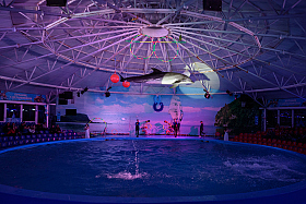 Работа фотографа Сергей Тарасов