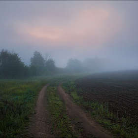 Туман | Фотограф Сергей Шабуневич | foto.by фото.бай