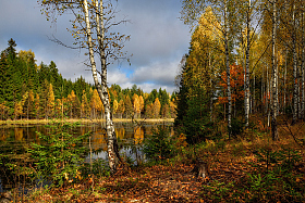 красочная осень | Фотограф Виталий Полуэктов | foto.by фото.бай