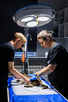 Работа фотографа Михаил и Елизавета Лукашевич