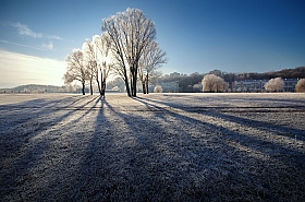 Мороз и солнце | Фотограф Сергей Шляга | foto.by фото.бай