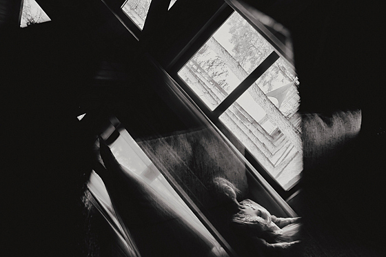 Фотограф Кирилл Емельянов, фотография добавлена 12.05.2019