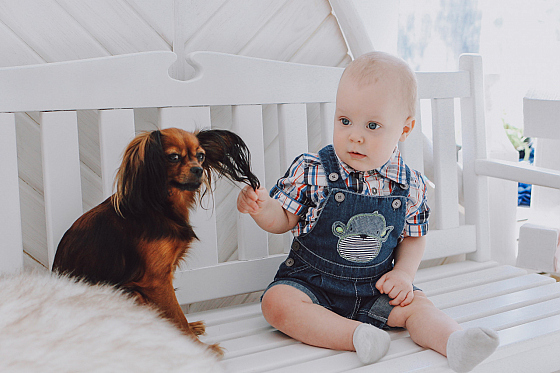 Фотограф Дмитрий Гусалов, фотография добавлена 04.04.2022