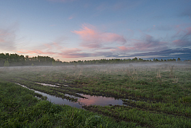 майский вечер | foto.by фото.бай