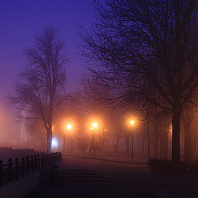 Предрассветный туман | Фотограф Александр Задёрко | foto.by фото.бай