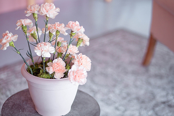 Фотограф Юлия Есина, фотография добавлена 12.11.2019