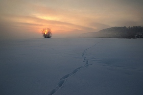 В зимнее утро | Фотограф Сергей Шляга | foto.by фото.бай
