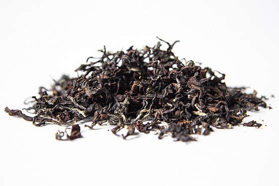 Фотограф Жасмина Германова, фотография добавлена 25.10.2025