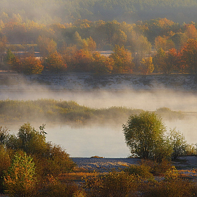 Осенние туманы | Фотограф Сергей Шляга | foto.by фото.бай