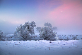 Зимнее утро | Фотограф Сергей Шабуневич | foto.by фото.бай