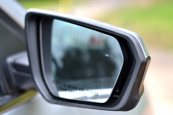 Фотограф Юлия Лапицкая, фотография добавлена 13.10.2025