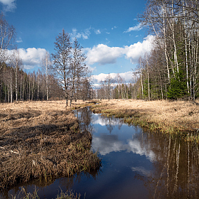 весенний пейзаж | Фотограф Виталий Полуэктов | foto.by фото.бай