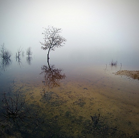 тишина | Фотограф Сергей Шляга | foto.by фото.бай