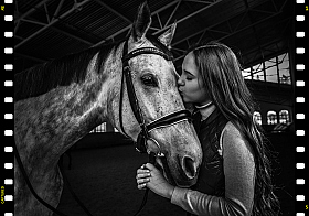 любимая лошадка | Фотограф Alena Passiouk | foto.by фото.бай