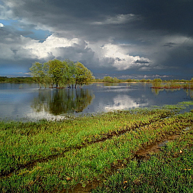 Весенняя гроза | Фотограф Сергей Шляга | foto.by фото.бай