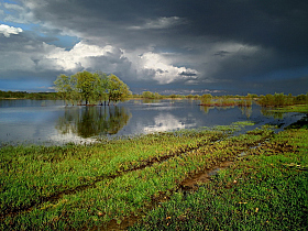 Весенняя гроза | Фотограф Сергей Шляга | foto.by фото.бай