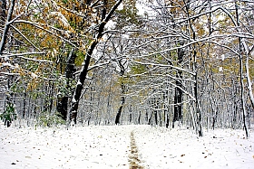 Первый снег- это здорово! | Фотограф Сергей Тарасюк | foto.by фото.бай