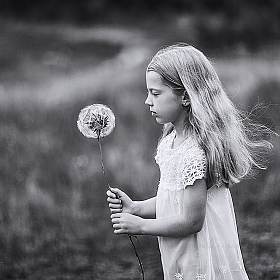 Dreams | Фотограф Юлия Войнич | foto.by фото.бай