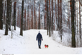 Работа фотографа Андрей Павлов
