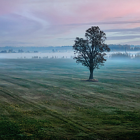 фотограф Владимир Ковалёв. Фотография "***"