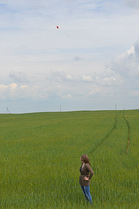 пшеничные просторы | Фотограф Татьяна Ларина | foto.by фото.бай