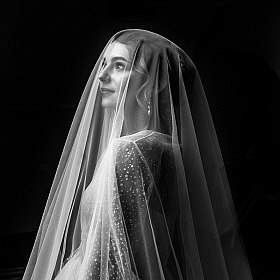 фотограф Юлия Шепелева. Фотография "Невеста"