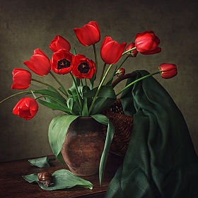 Натюрморт с красными тюльпанами | Фотограф Ирина Приходько | foto.by фото.бай