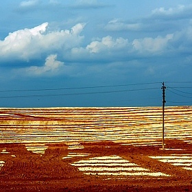 поле в полосочку | Фотограф Сергей Тарасюк | foto.by фото.бай