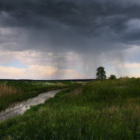 Убегая от дождя | Фотограф Сергей Шабуневич | foto.by фото.бай