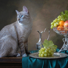 Опять эти фрукты! | Фотограф Ирина Приходько | foto.by фото.бай