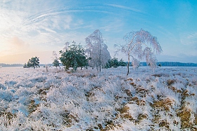 Морозный вечер | Фотограф Артур Язубец | foto.by фото.бай