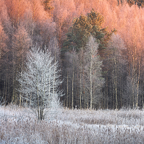 *** | Фотограф Andrew Kuzmin | foto.by фото.бай