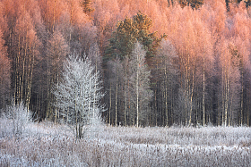 *** | Фотограф Andrew Kuzmin | foto.by фото.бай