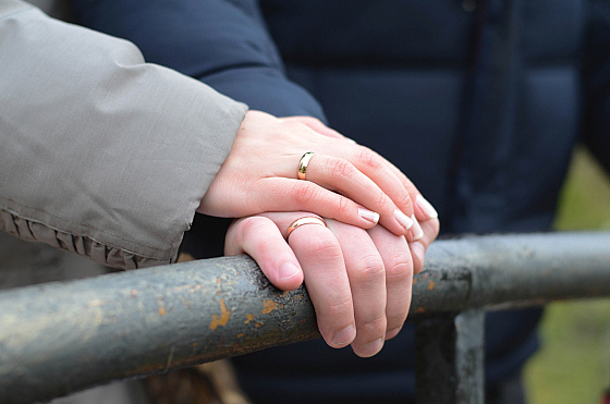 Татьяна Клачек - фотограф, фотография добавлена 27.01.2017