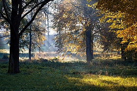 Золотая осень | Фотограф Юлия Войнич | foto.by фото.бай