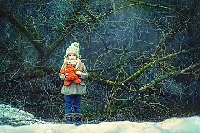 в сказочном лесу | Фотограф Екатерина Захаркова | foto.by фото.бай