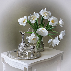 Вариации на тему букета белых тюльпанов | Фотограф Ирина Приходько | foto.by фото.бай
