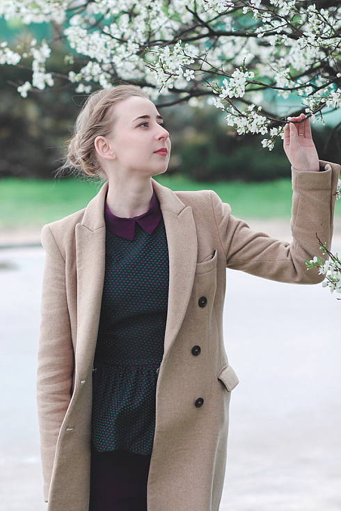 Фотограф Дмитрий Гусалов, фотография добавлена 11.10.2019